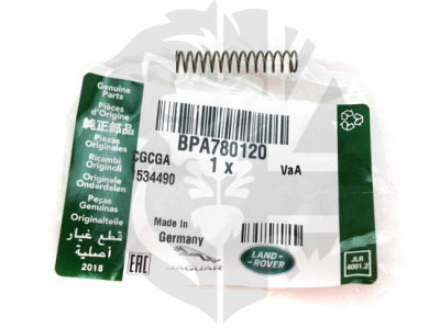 Fuel Flap Spring